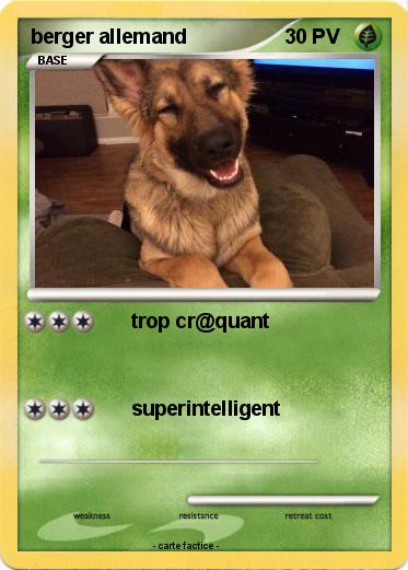Pokemon berger allemand