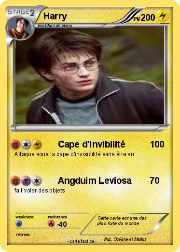 Pokemon Harry