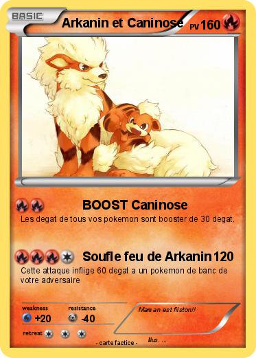 Pokemon Arkanin et Caninose