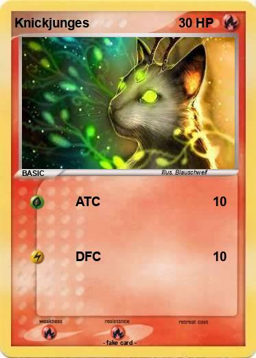 Pokemon Knickjunges