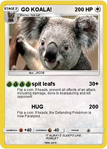 Pokemon GO KOALA!