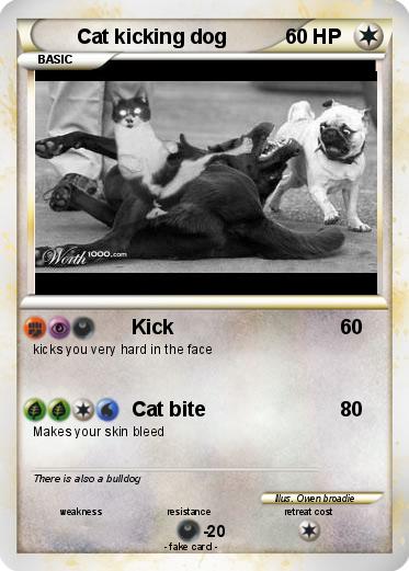 Pokemon Cat kicking dog