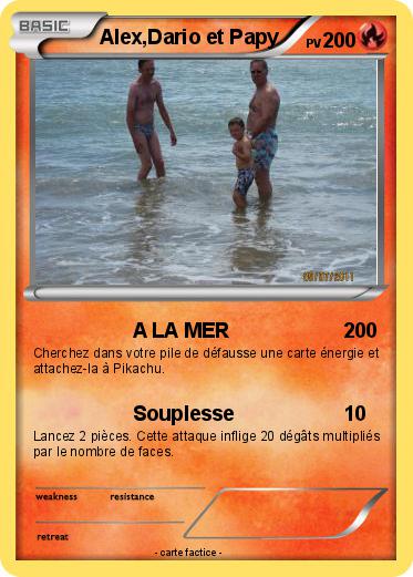 Pokemon Alex,Dario et Papy