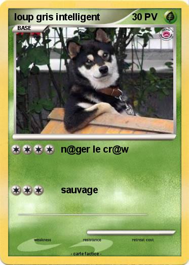 Pokemon loup gris intelligent