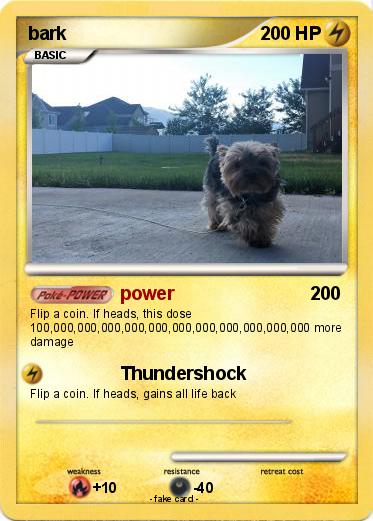 Pokemon bark
