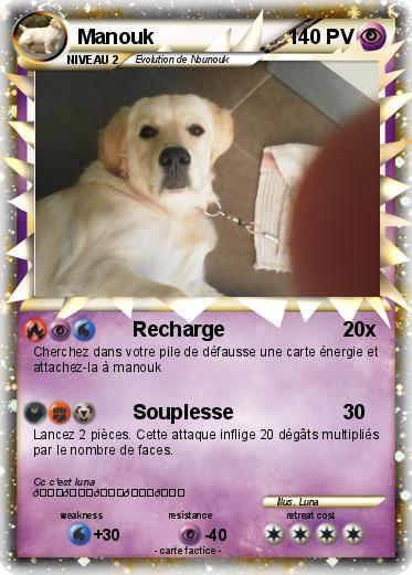 Pokemon Manouk
