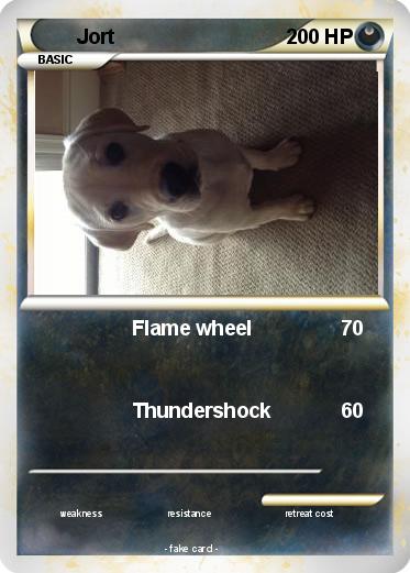 Pokemon Jort