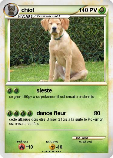 Pokemon chiot
