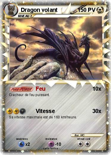 Pokemon Dragon volant
