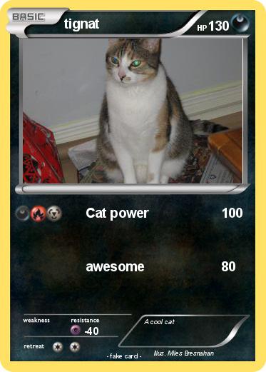Pokemon tignat