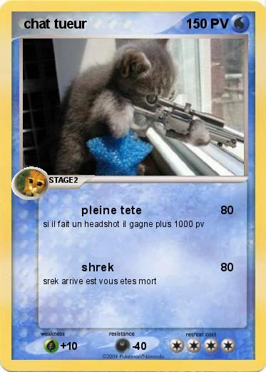 Pokemon  chat tueur