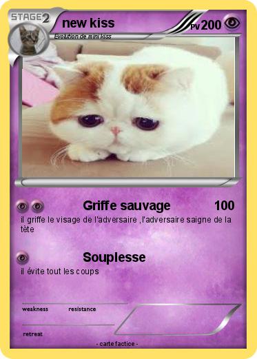 Pokemon new kiss