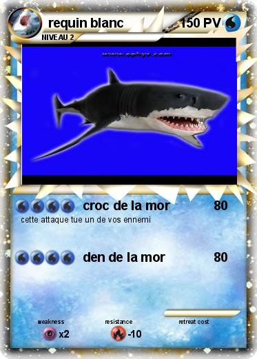 Pokemon requin blanc