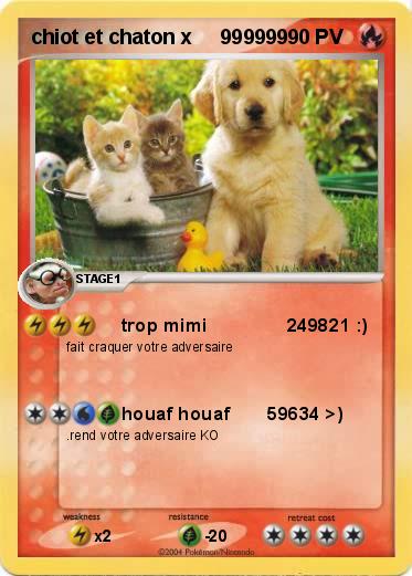 Pokemon chiot et chaton x     999999