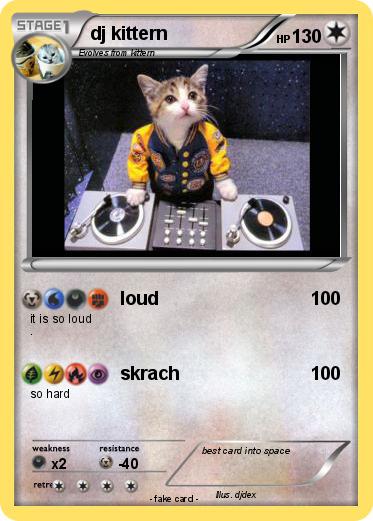 Pokemon dj kittern