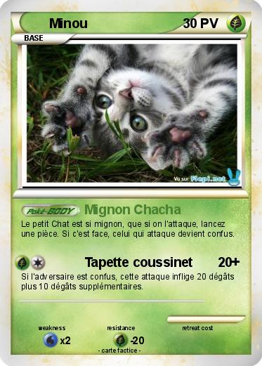 Pokemon Minou