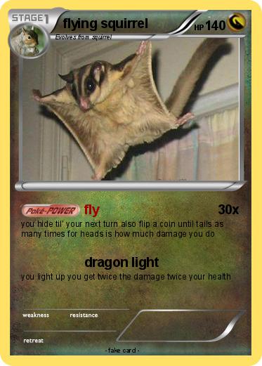 Pokemon flying squirrel