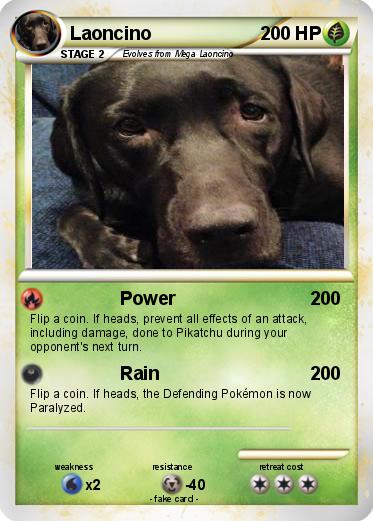 Pokemon Laoncino
