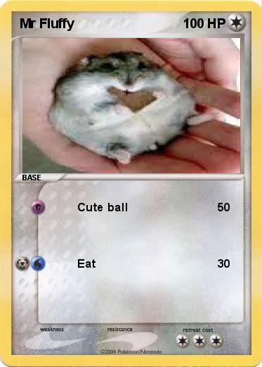 Pokemon Mr Fluffy