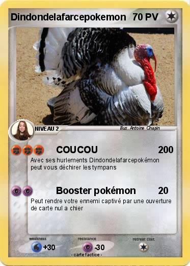 Pokemon Dindondelafarcepokemon