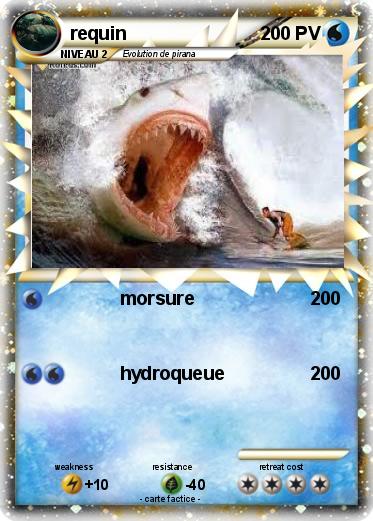 Pokemon requin