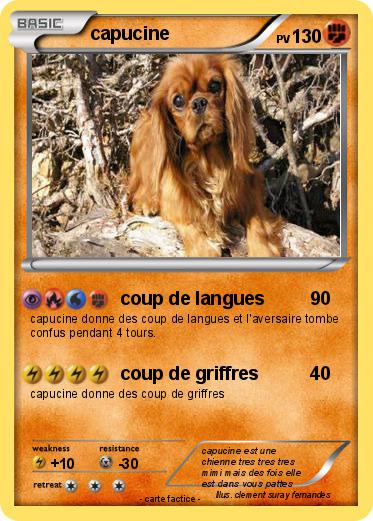 Pokemon capucine