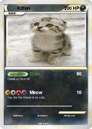 Pokemon Kitten
