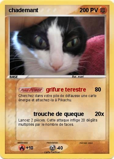 Pokemon chademant