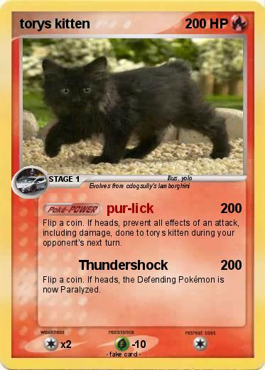 Pokemon torys kitten