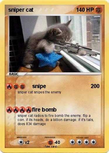 Pokemon sniper cat