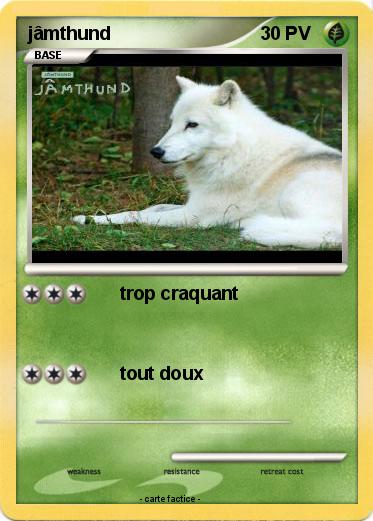 Pokemon jâmthund