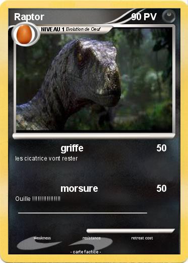 Pokemon Raptor