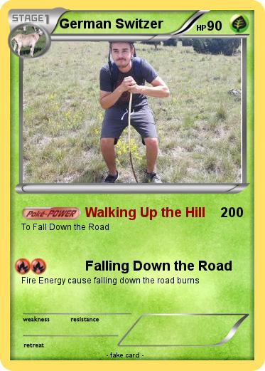 Pokemon German Switzer
