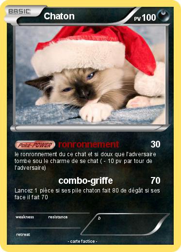 Pokemon Chaton