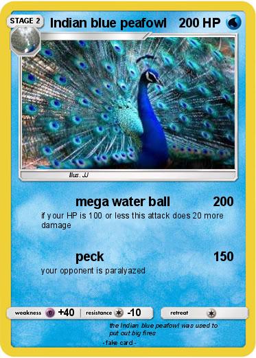 Pokemon Indian blue peafowl