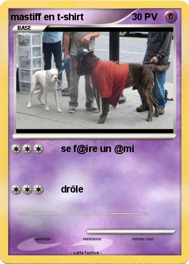 Pokemon mastiff en t-shirt
