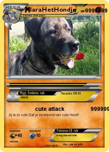 Pokemon laraHetHondje