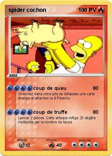 Pokemon spider cochon
