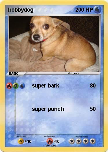 Pokemon bobbydog
