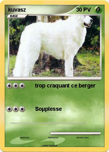 Pokemon kuvasz