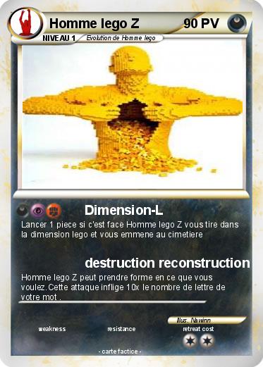 Pokemon Homme lego Z