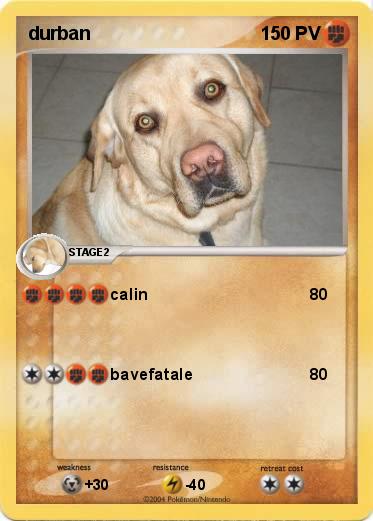 Pokemon durban