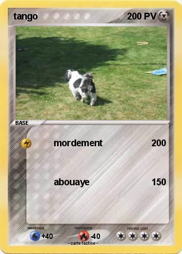 Pokemon tango