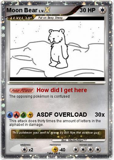 Pokemon Moon Bear