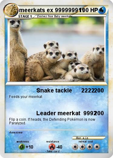 Pokemon meerkats ex 999999911