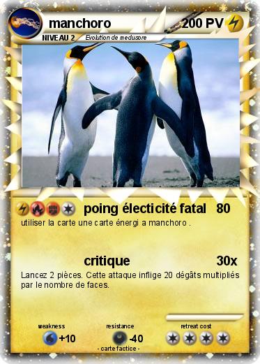 Pokemon manchoro