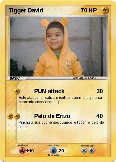 Pokemon Tigger David