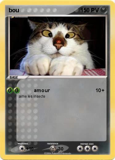 Pokemon bou