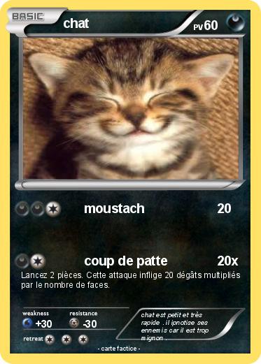 Pokemon chat