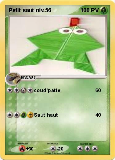 Pokemon Petit saut niv.56